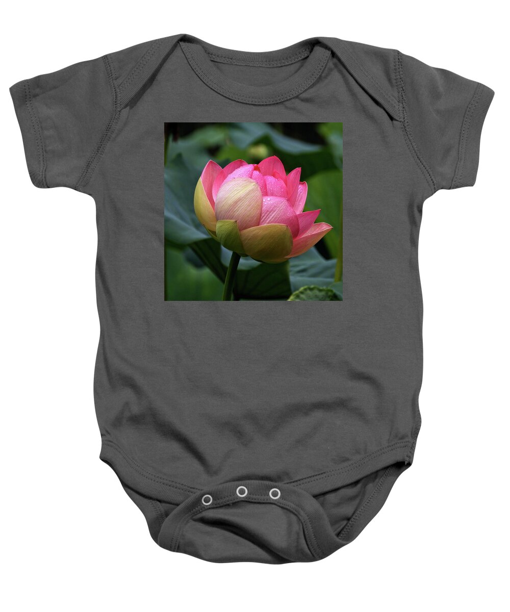 Single Lotus With Raindrops Baby Onesie featuring the photograph Luscious Lotus With Raindrops by Byron Varvarigos