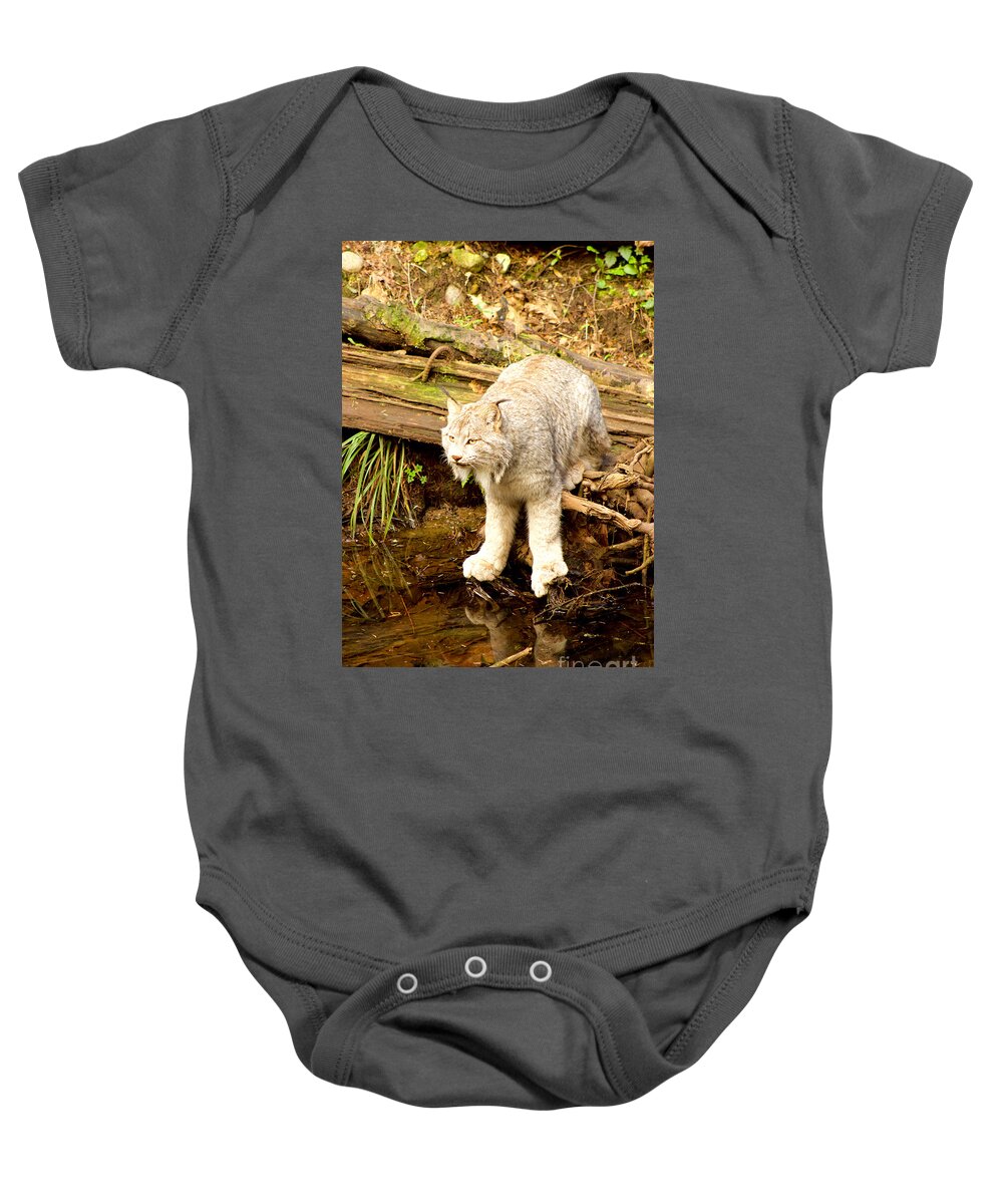 Photography Baby Onesie featuring the photograph Lynx Canadensis by Sean Griffin