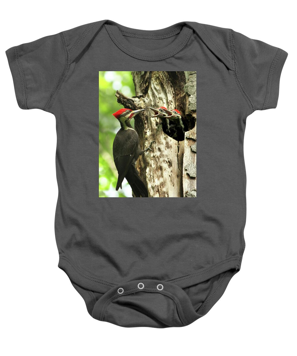 Hungry Baby Onesie featuring the photograph Male Pileated Woodpecker at nest by Mircea Costina Photography