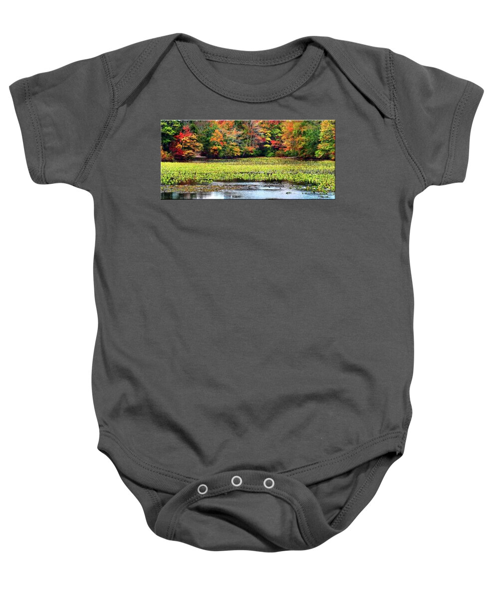 Nature Baby Onesie featuring the photograph Many colors of Autumn by Mikki Cucuzzo
