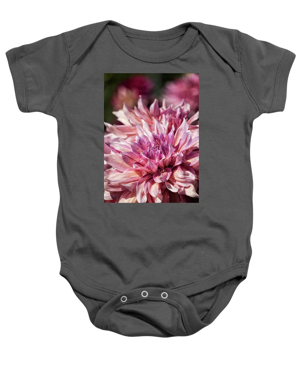 Dahlia Baby Onesie featuring the photograph Marbled Dahlia, No. 2 by Belinda Greb