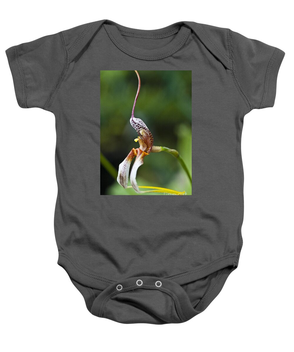 Orchid Baby Onesie featuring the photograph Masdevallia hortensiae orchid by Heiko Koehrer-Wagner