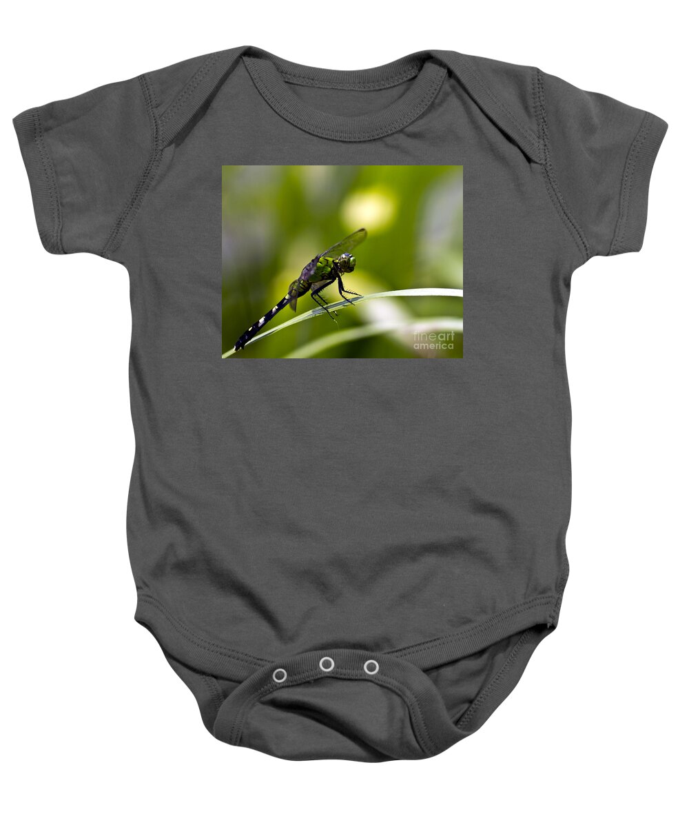 Dragonfly Baby Onesie featuring the photograph Mean Green by Ken Frischkorn
