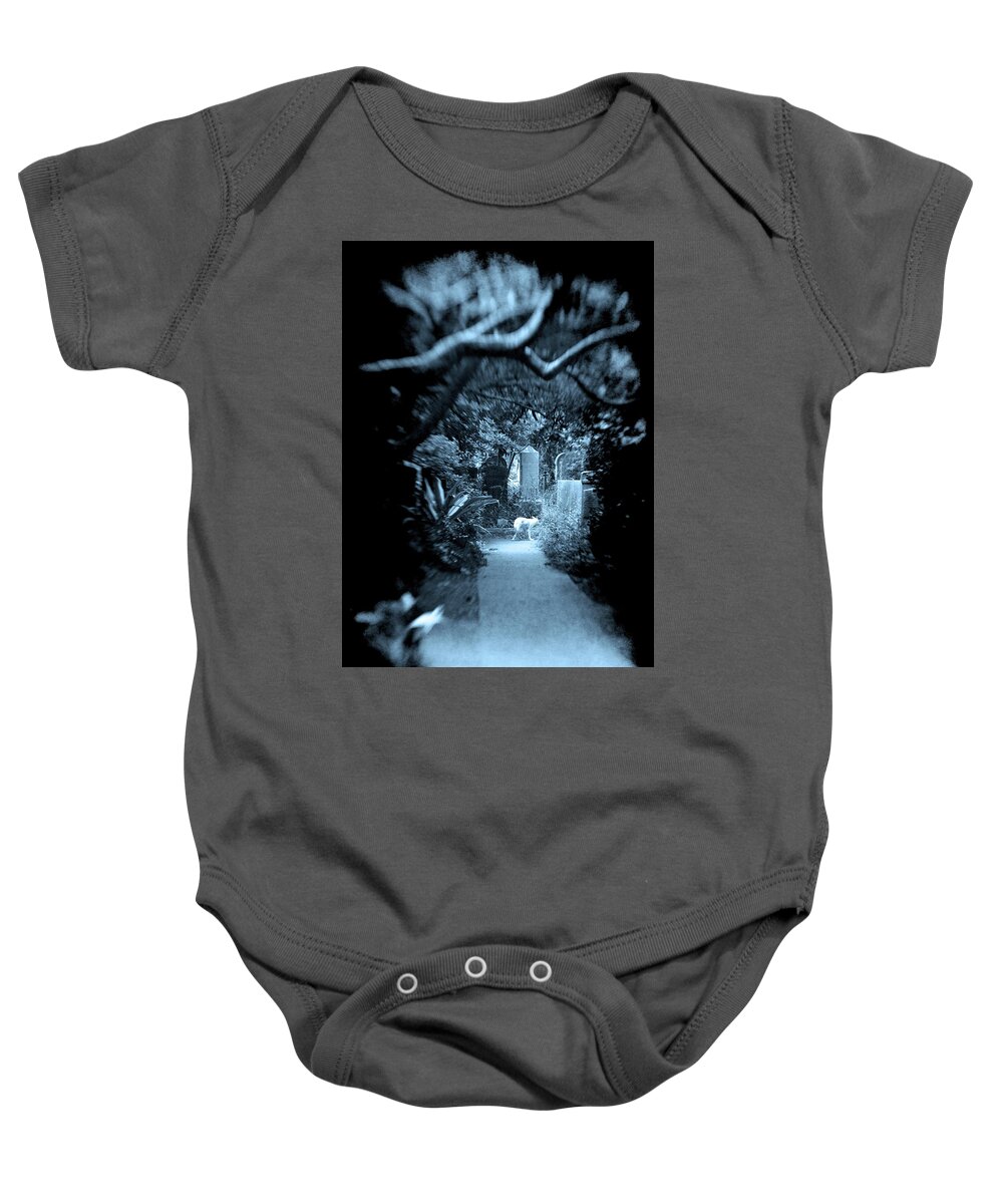 White Wolf Graveyard Overhanging Trees Oak Live Overgrown Blue Cyan Midnight Animal Mysterious Haunted Haunting Tombstones Graves Gravestones Path Selected Focus Scary Dark Baby Onesie featuring the photograph Midnight Wolf in the Cemetery by Jennifer Wright