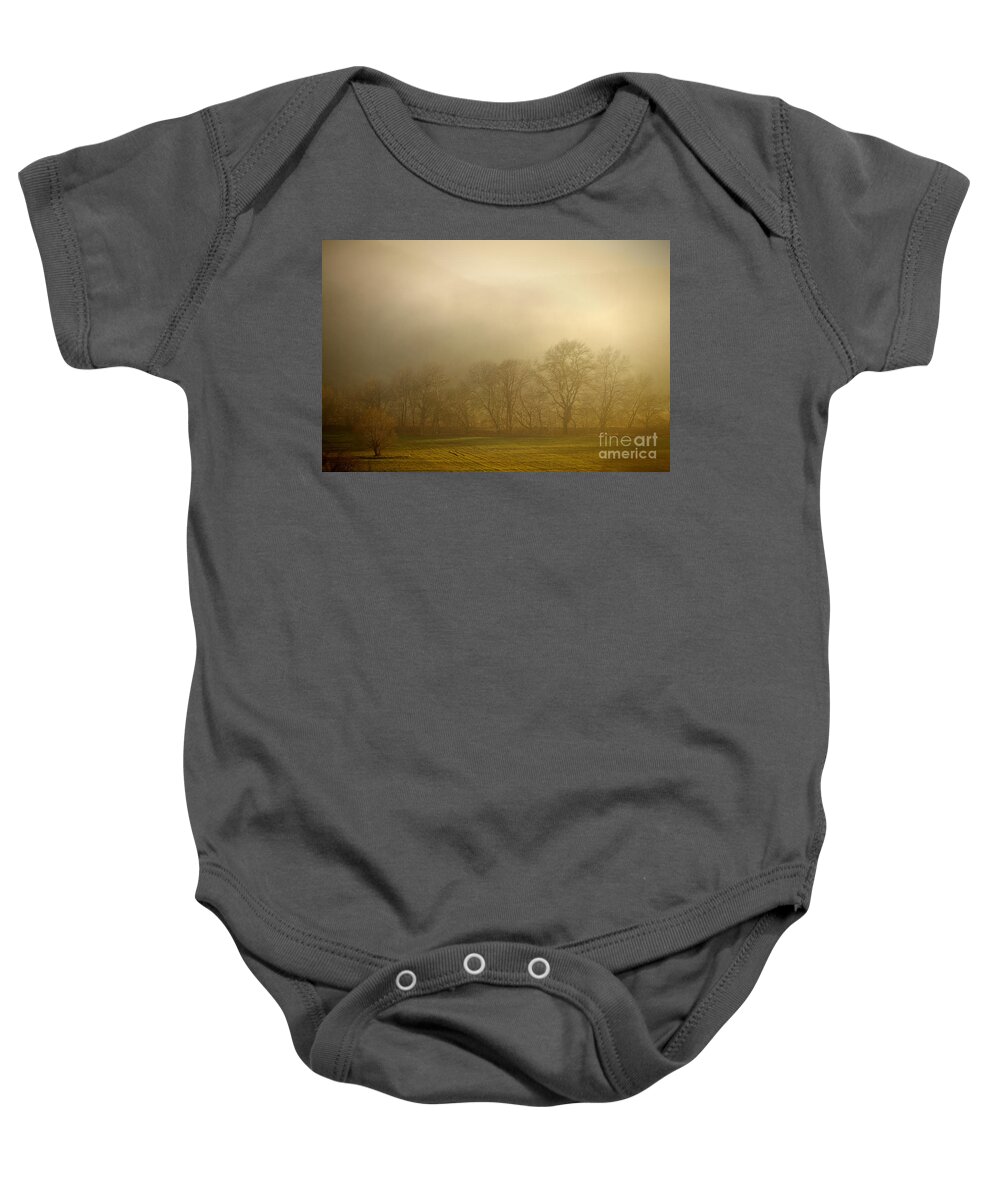 Landscape Baby Onesie featuring the photograph Mist in The Forest by Dimitar Hristov