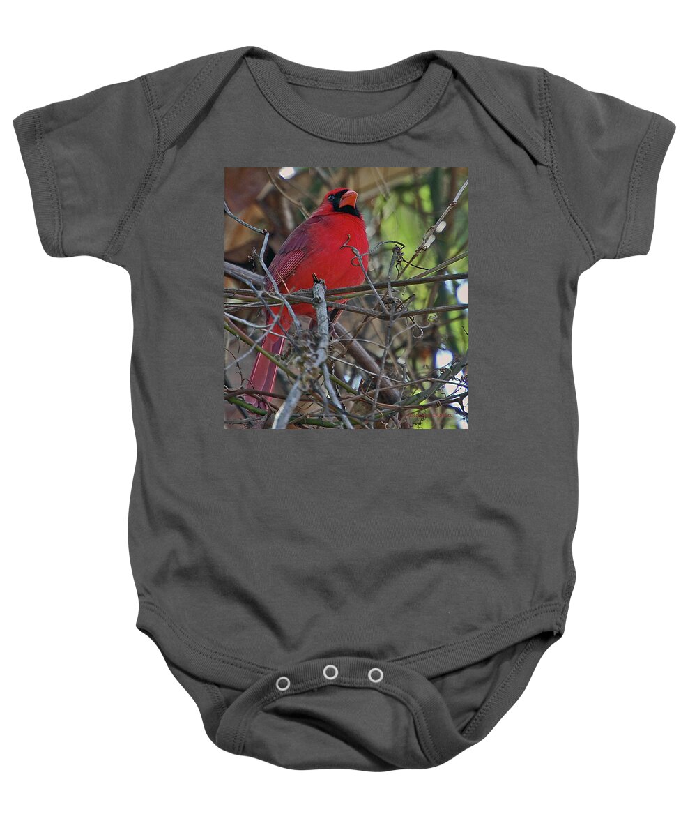 Cardinal Baby Onesie featuring the digital art Mister Cardinal by DigiArt Diaries by Vicky B Fuller