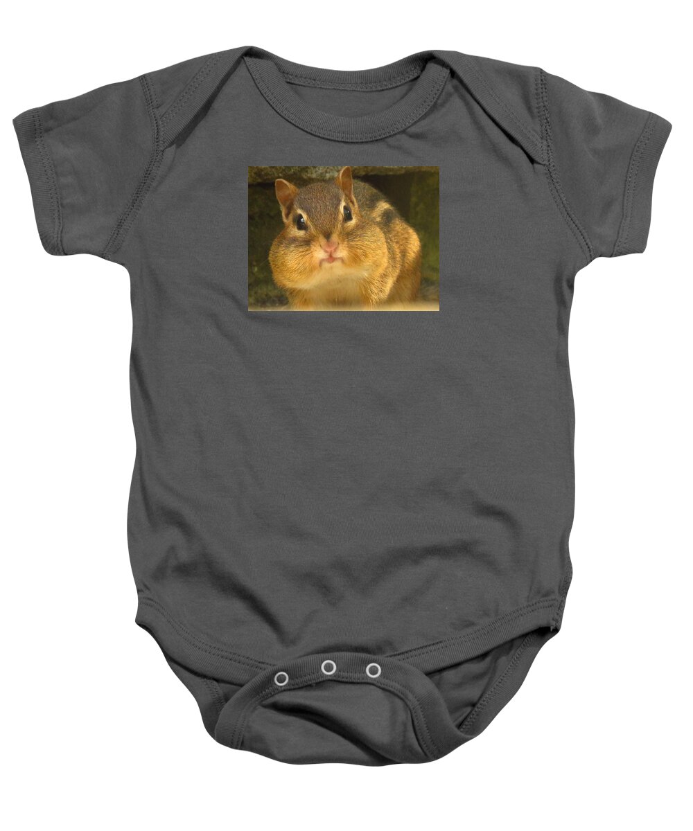 Chipmunks Baby Onesie featuring the photograph Mister Chubby Cheeks by Lori Frisch
