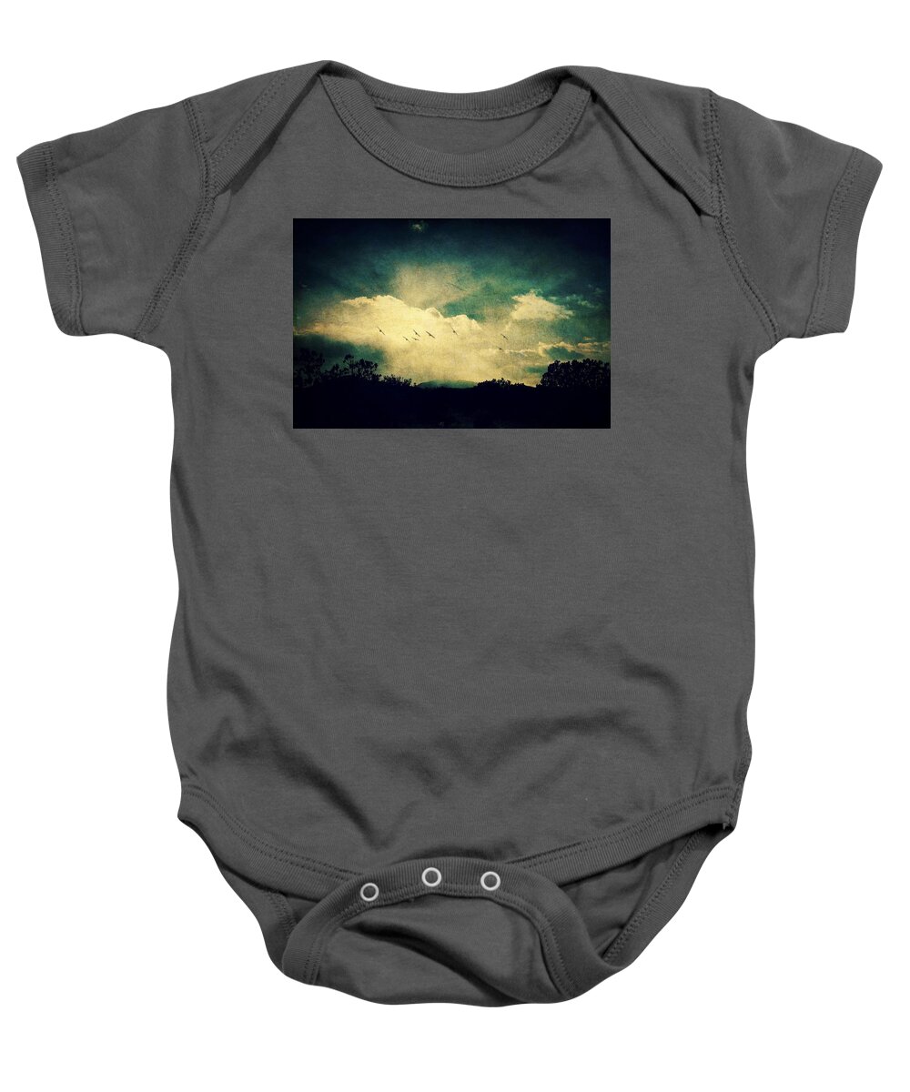 Birds Baby Onesie featuring the photograph Misty Mountain Flight by Brad Hodges