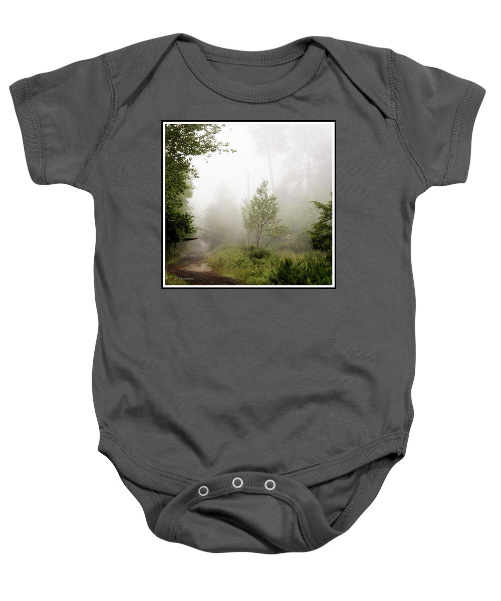 Mist Baby Onesie featuring the photograph Misty Road at Forest Edge, Pocono Mountains, Pennsylvania by A Macarthur Gurmankin