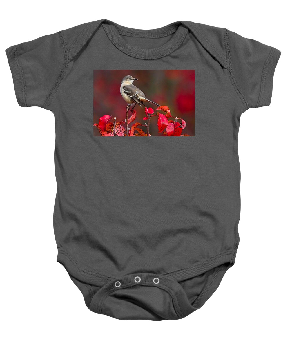 Mockingbird Baby Onesie featuring the photograph Mockingbird on Red by William Jobes