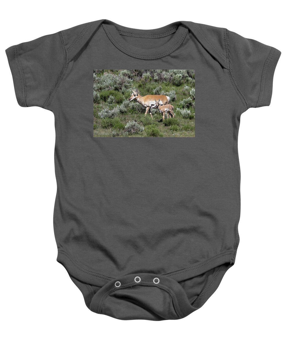 Pronghorn Baby Onesie featuring the photograph Mom's little one by Ronnie And Frances Howard