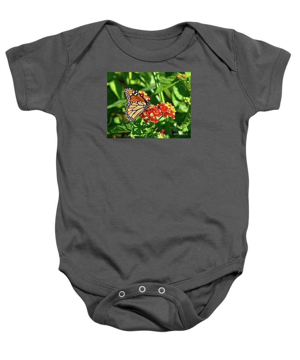 Butterfly Photography Baby Onesie featuring the photograph Monarch II by Patricia Griffin Brett