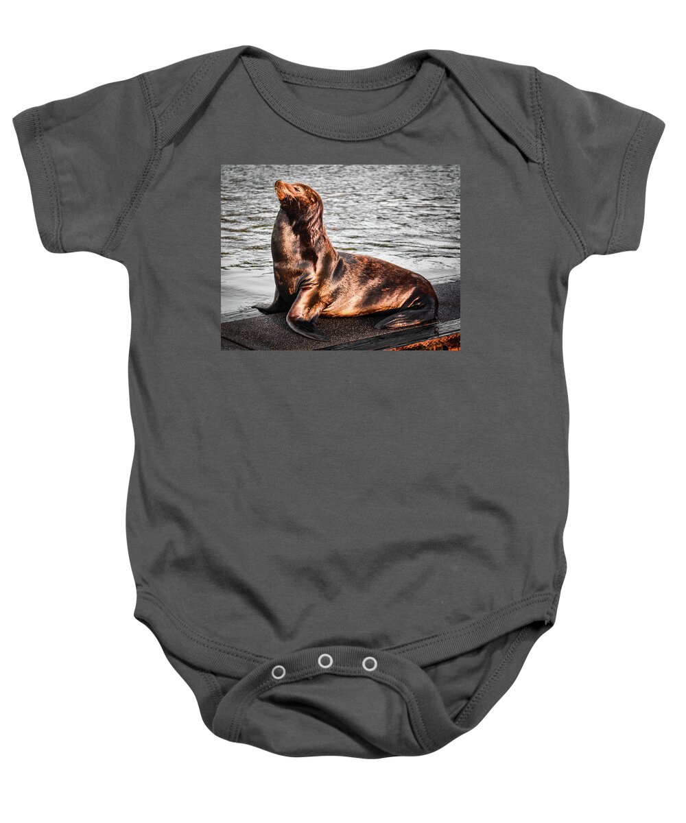 Sealion Baby Onesie featuring the photograph Monarch SeaLion by Jason Brooks
