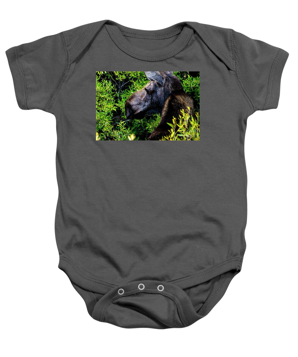Moose Baby Onesie featuring the photograph Moose Jackson Hole by Ben Graham