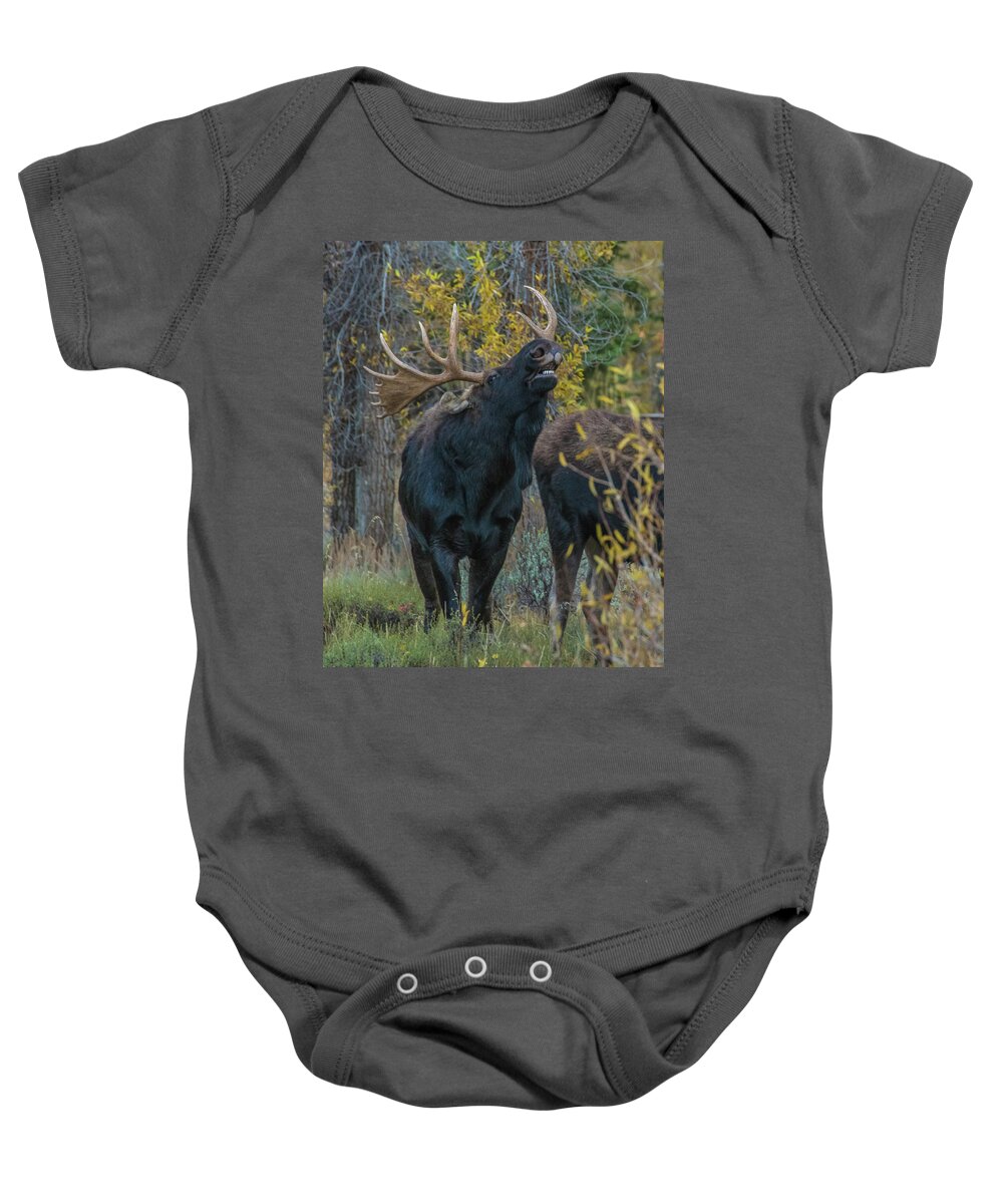 Bull Moose Baby Onesie featuring the photograph Moose Rut Response by Yeates Photography