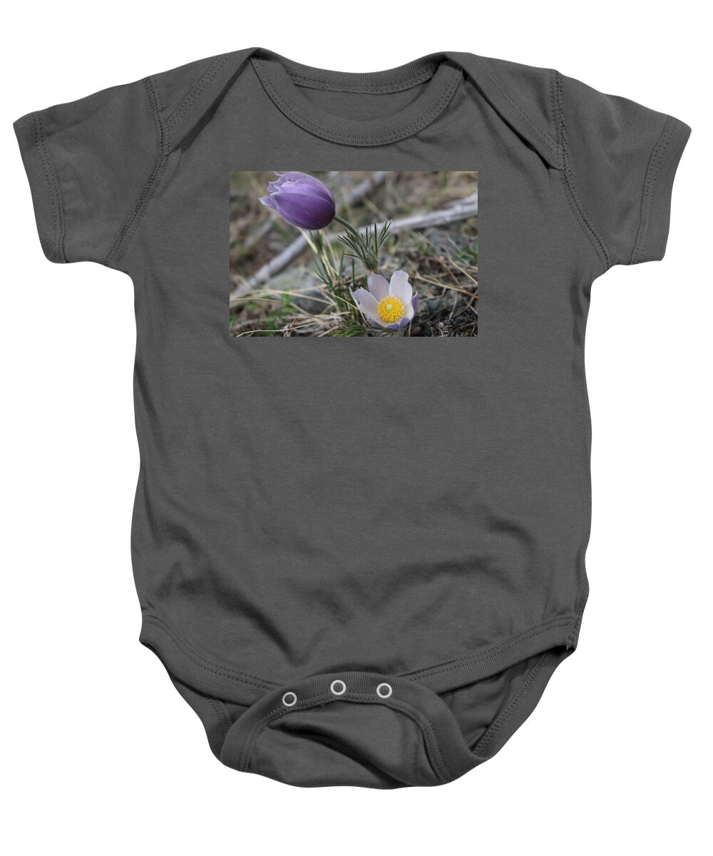 Flower Baby Onesie featuring the photograph More Purple flowers by Jesse Woodward
