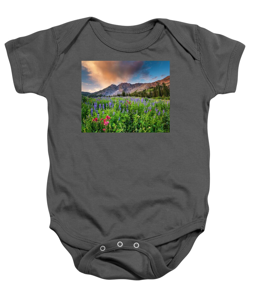 Alta Baby Onesie featuring the photograph Morning Flowers in Little Cottonwood Canyon, Utah by Michael Ash