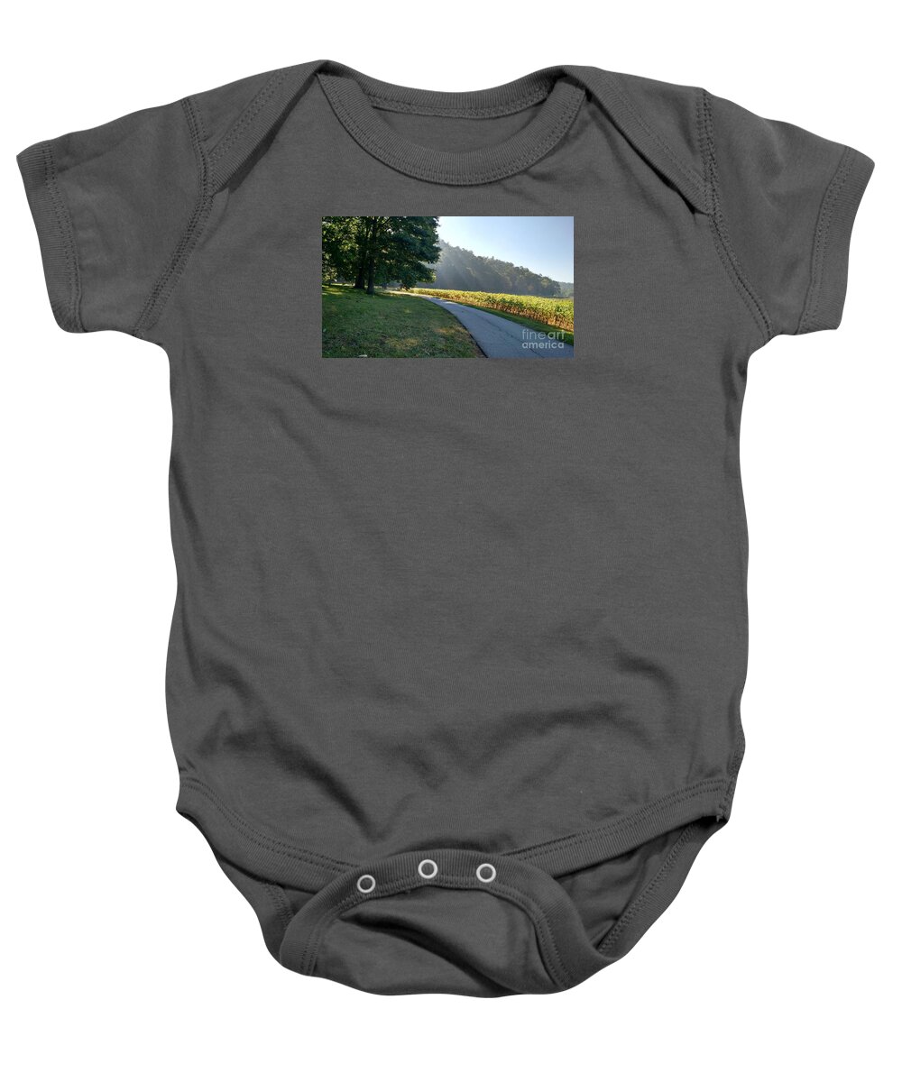 Landscape Baby Onesie featuring the photograph Morning Light at Biltmore by Anita Adams