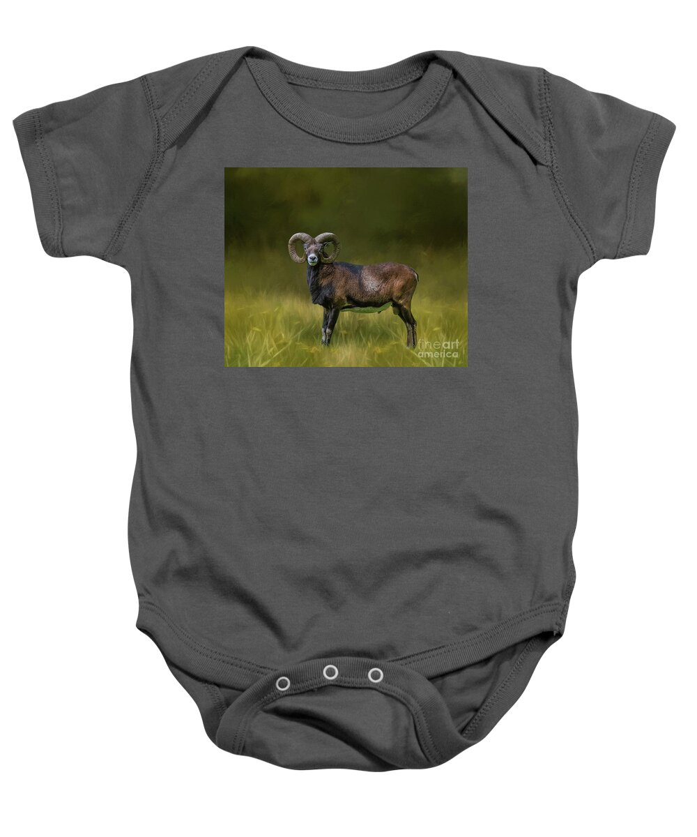 Mouflon Baby Onesie featuring the photograph Mouflon by Eva Lechner