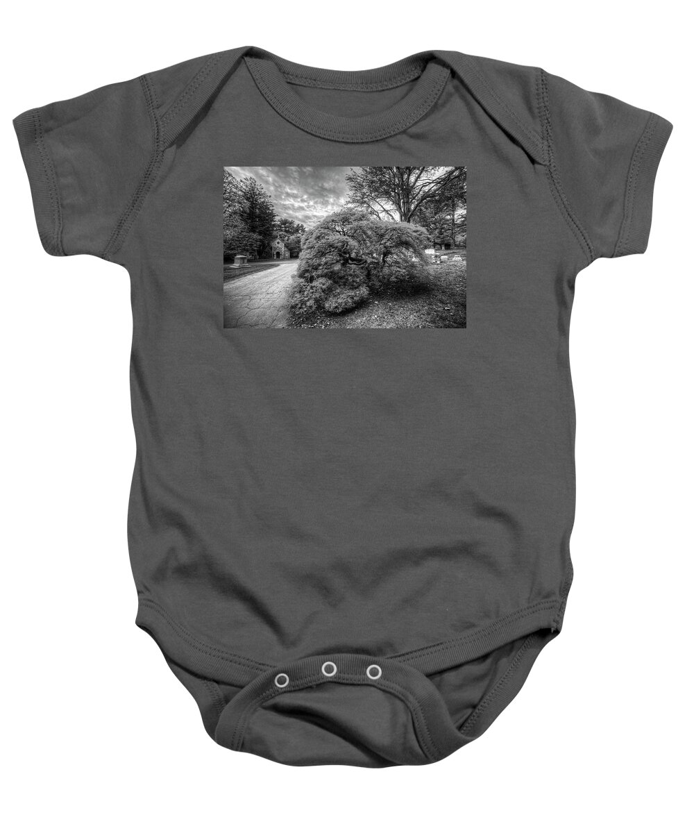 Mount Baby Onesie featuring the photograph Mount Auburn Cemetery Beautiful Japanese Maple Tree Orange Autumn Black and White by Toby McGuire