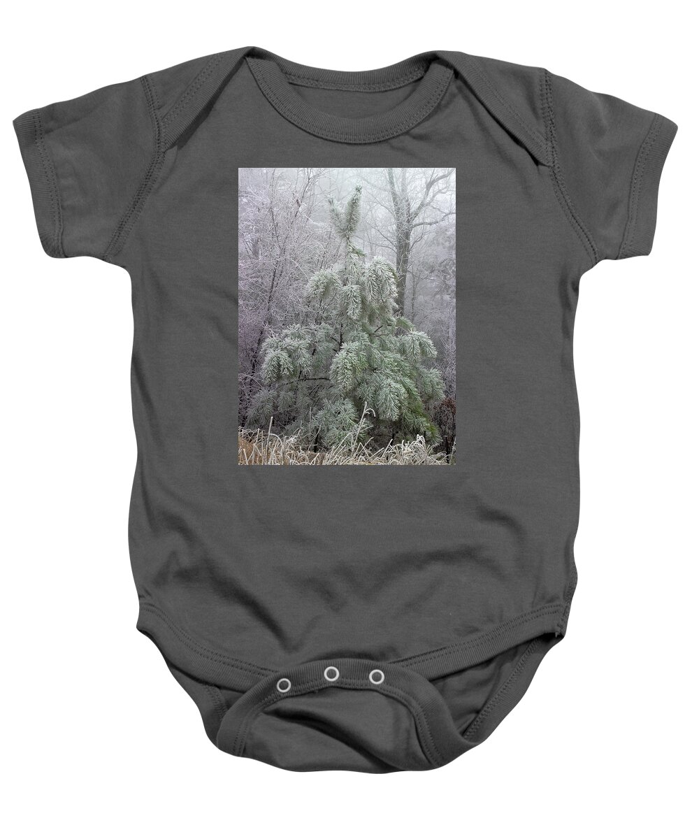Pine Tree Baby Onesie featuring the photograph Mountain Top Frost by Mike Eingle