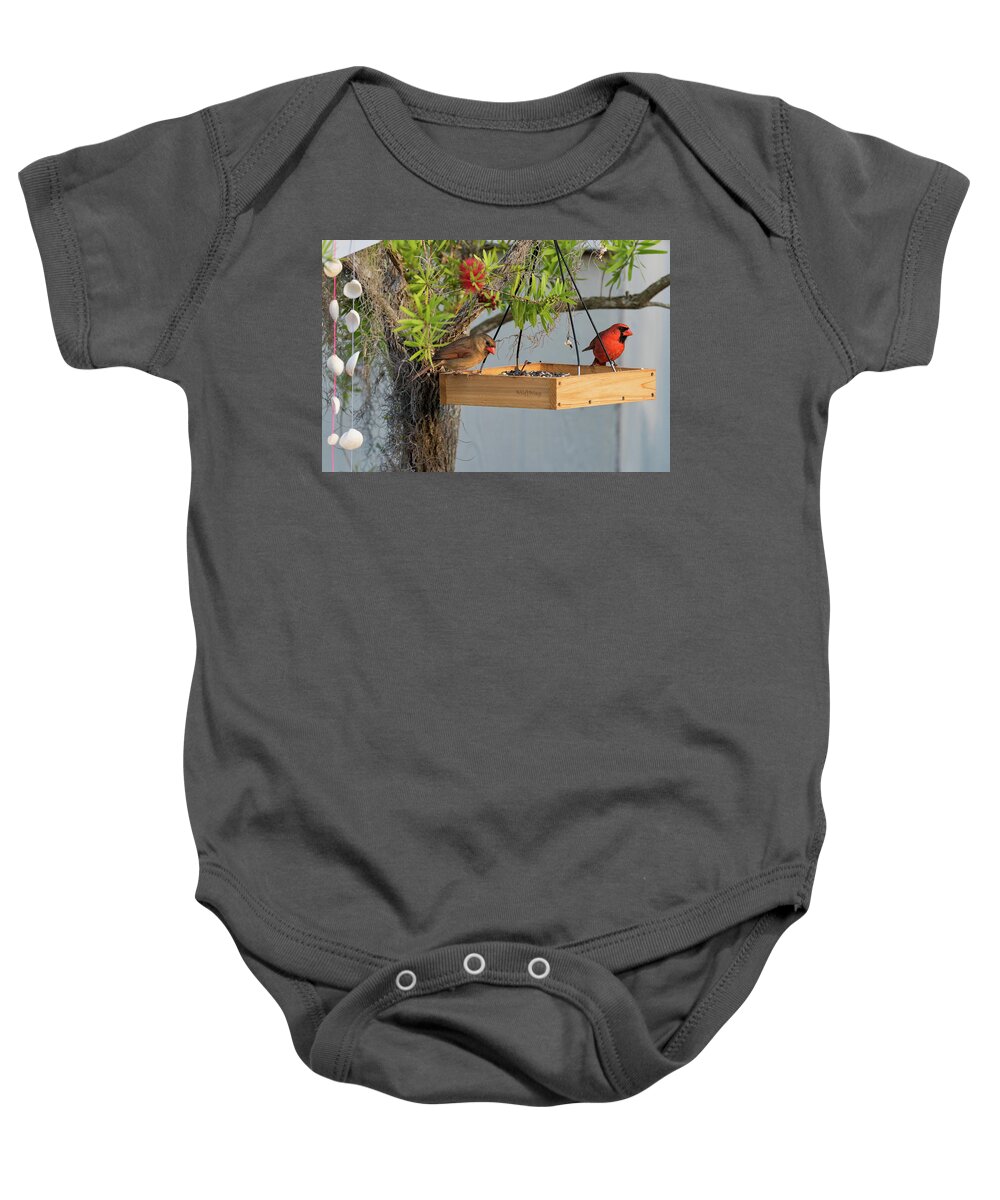 Birds Baby Onesie featuring the photograph Mr and Mrs by Norman Peay