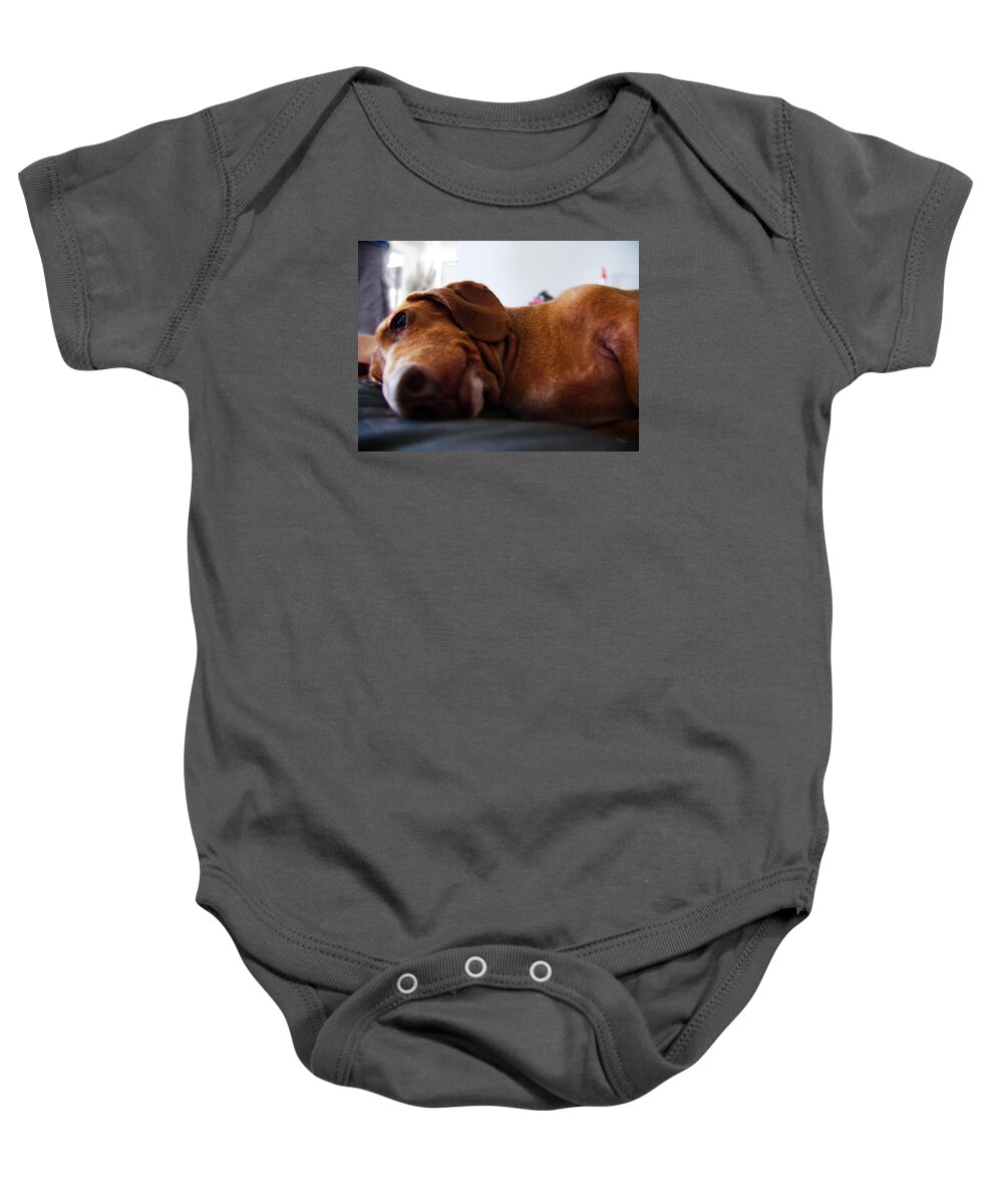 Animals Baby Onesie featuring the photograph Mr Fritz by Michael Blaine