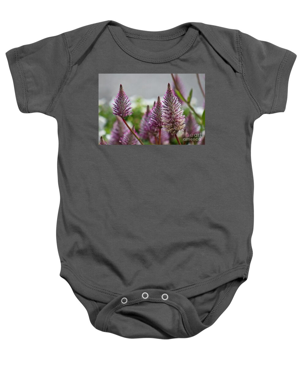 Pink Baby Onesie featuring the photograph Mt. Washington Flowers by Deena Withycombe