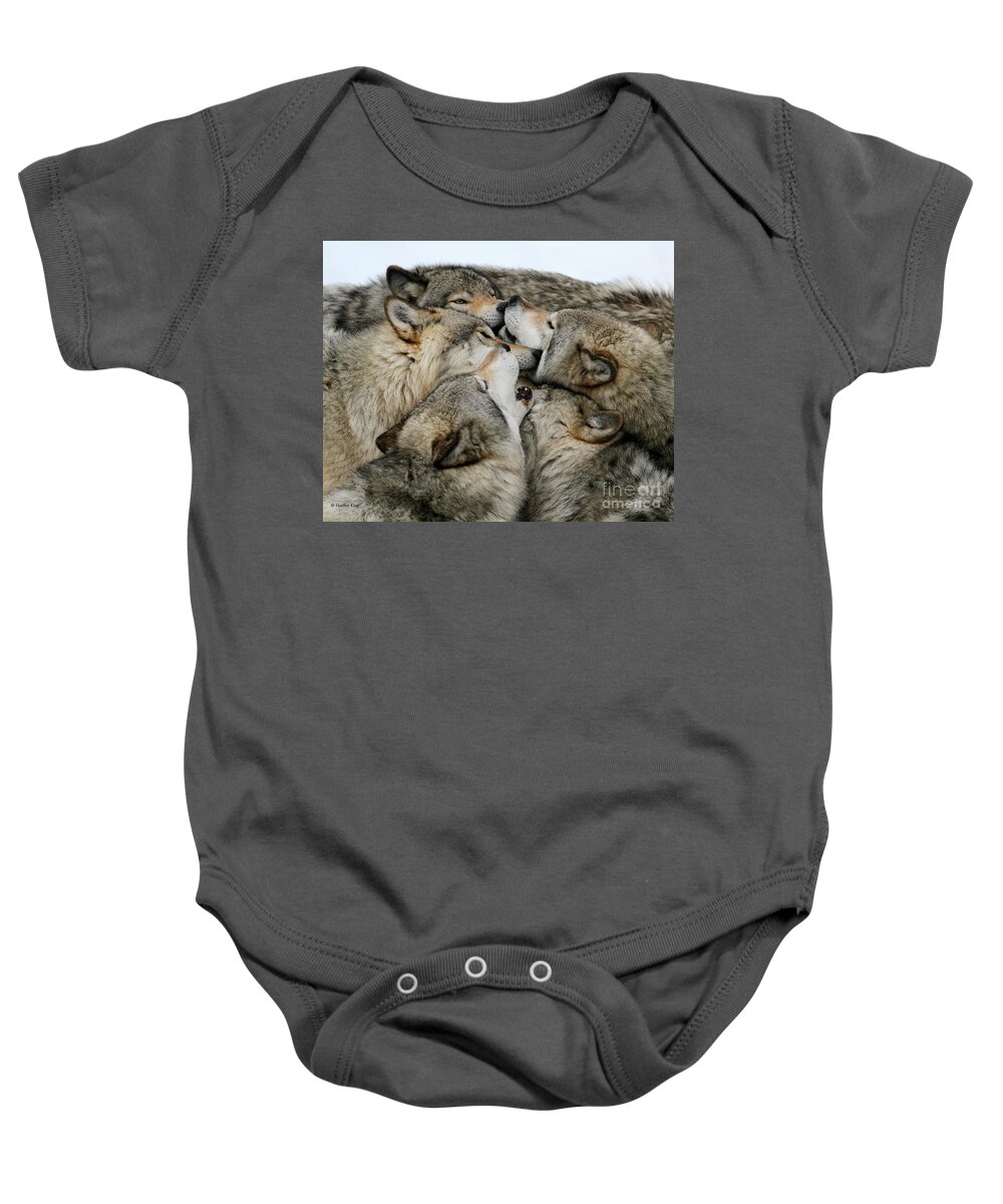 Timber Wolf Baby Onesie featuring the photograph Muzzle nuzzle by Heather King