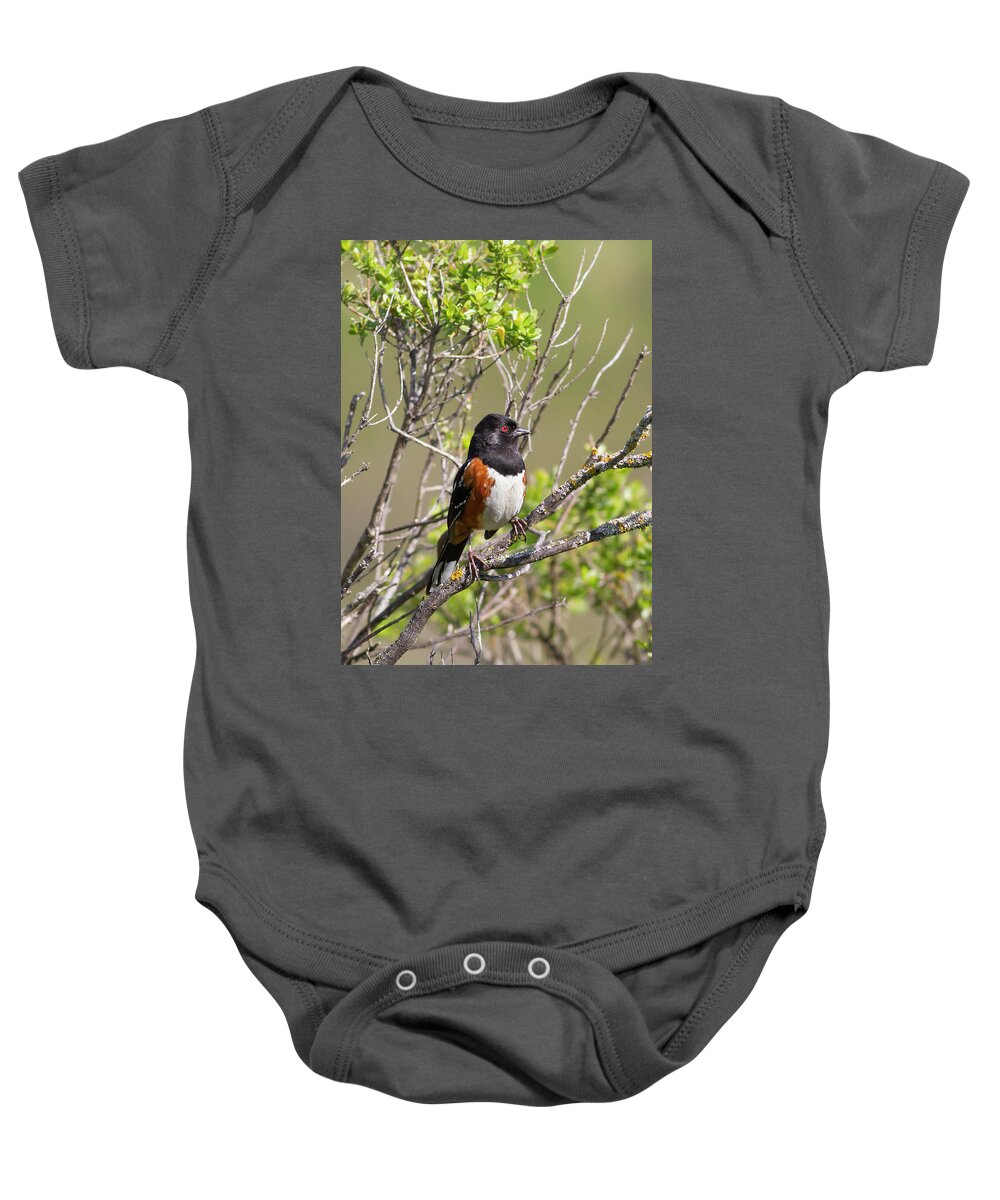 Mark Miller Photos Baby Onesie featuring the photograph Spotted Towhee by Mark Miller