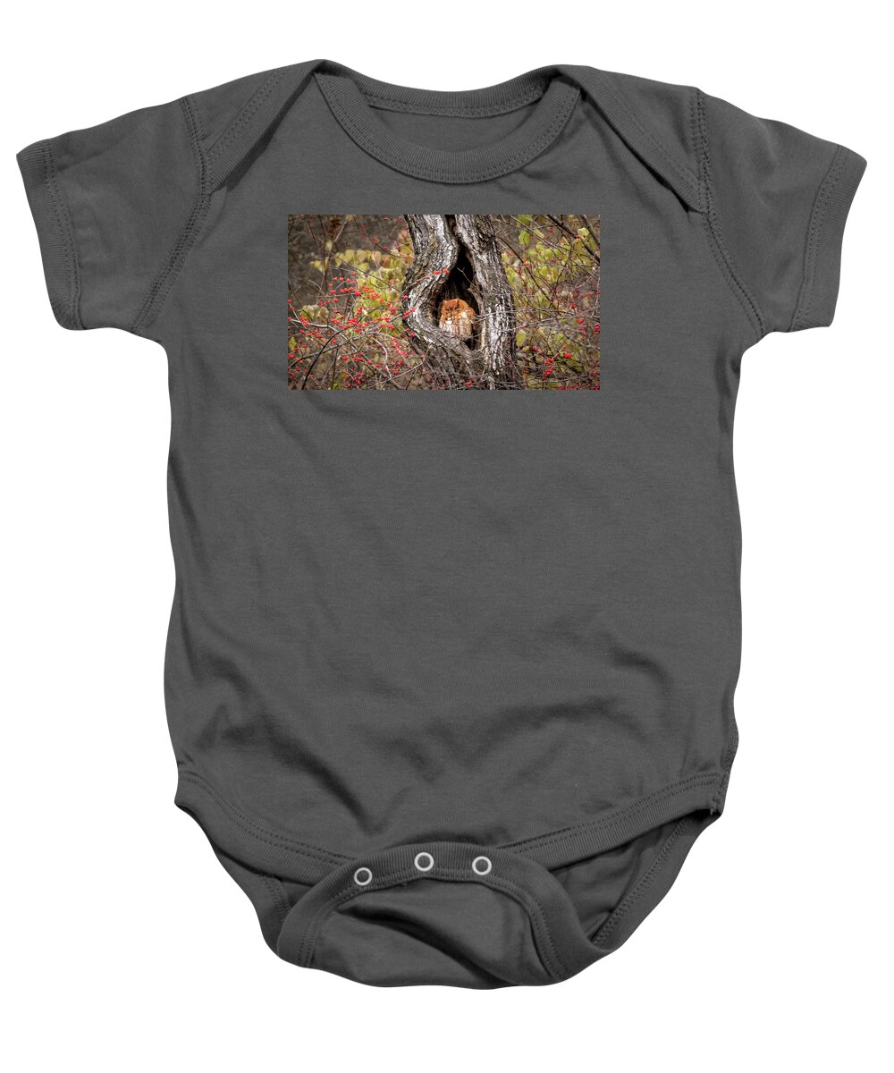 Owl Baby Onesie featuring the photograph Nap Time by Holly Ross
