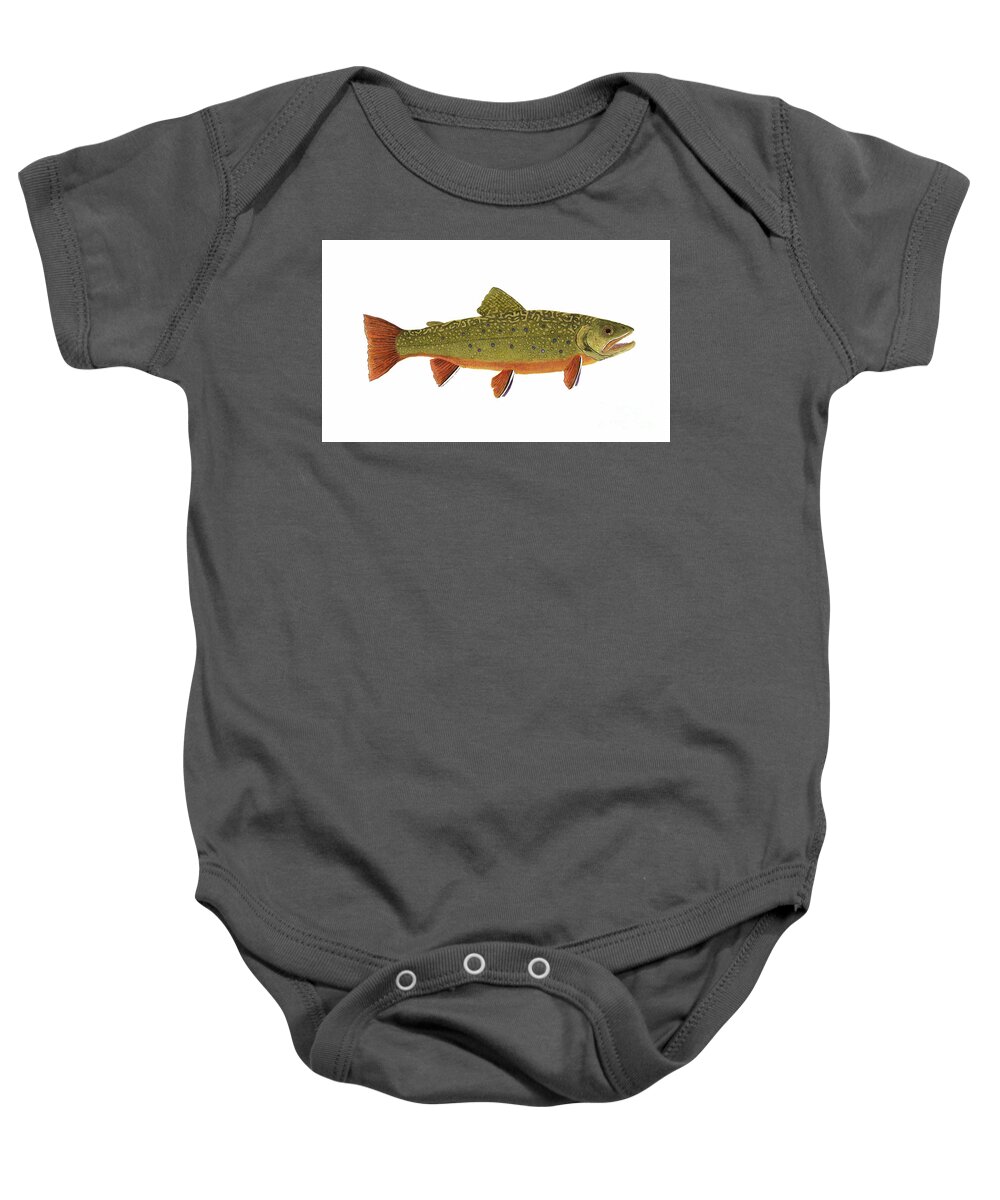 Trout Salmon Fly Fish Fishing Brook Rainbow Cutthroat Thom Glace Bass Crappie Muskie Baby Onesie featuring the painting Native Brook Trout by Thom Glace
