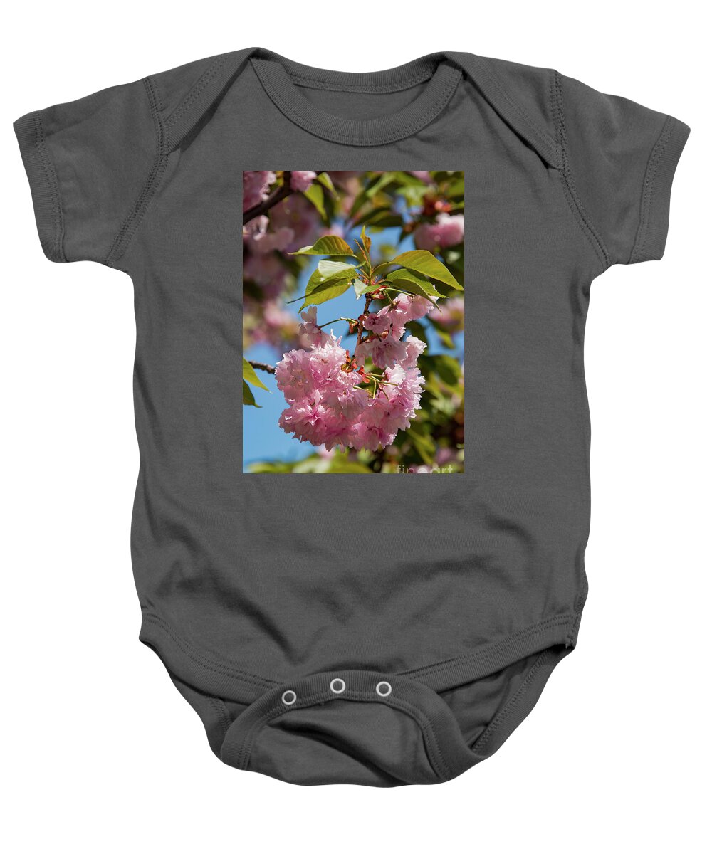Hagerstown Baby Onesie featuring the photograph Nature in Pink by Bob Phillips