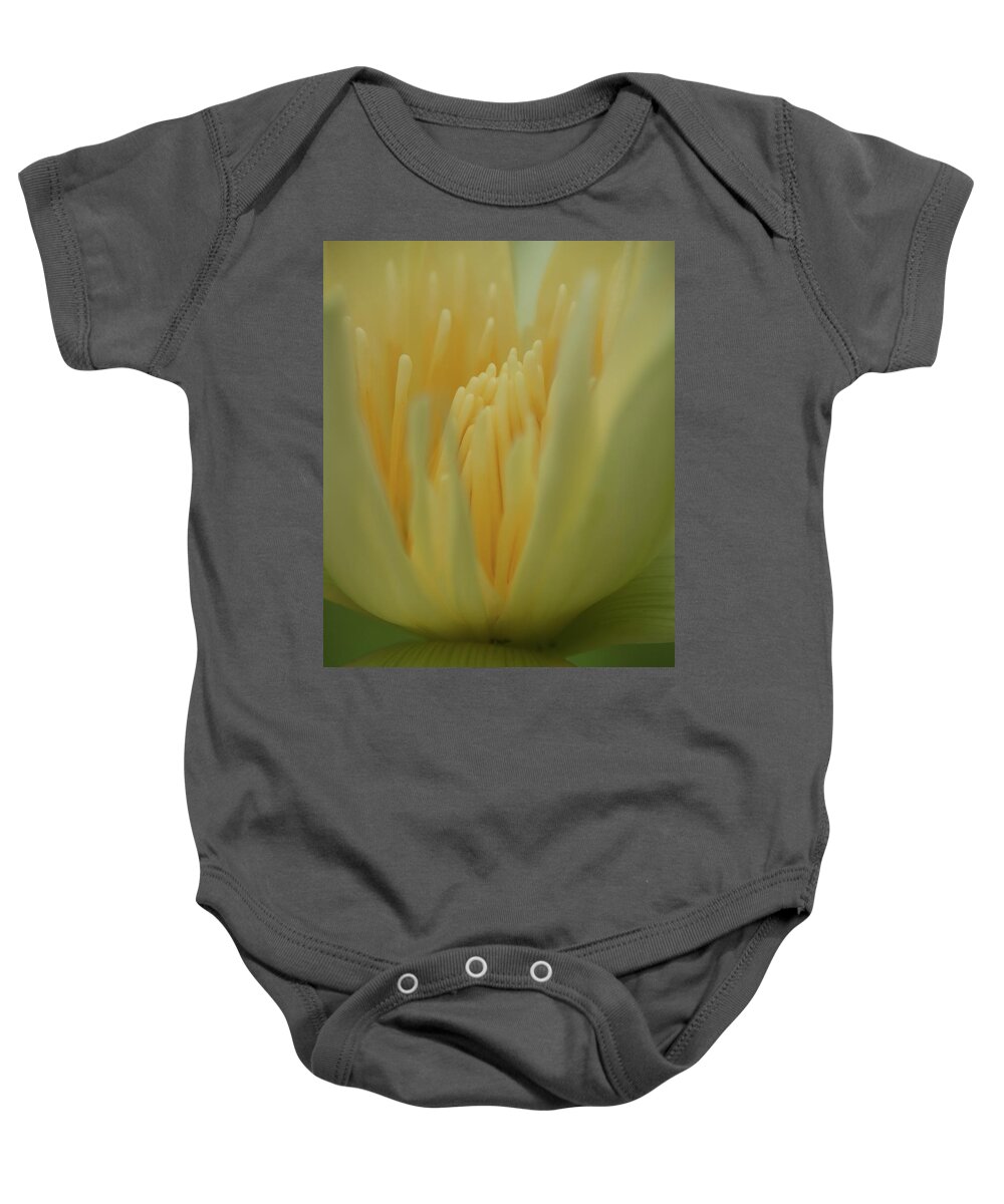 Flowers Baby Onesie featuring the photograph Natures Reflection by Stewart Helberg