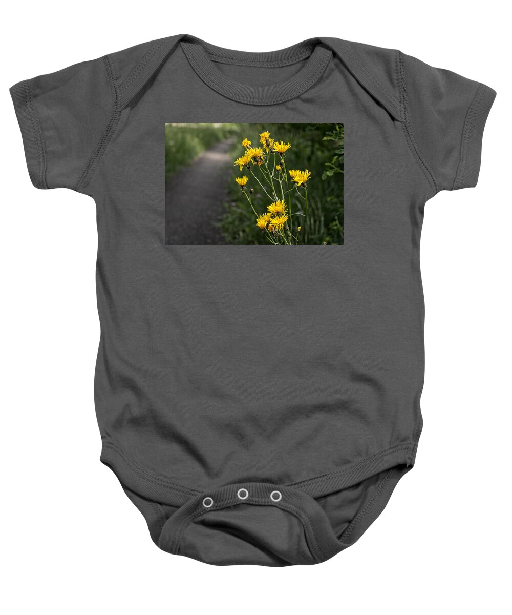 Miguel Baby Onesie featuring the photograph Nature's Traffic by Miguel Winterpacht