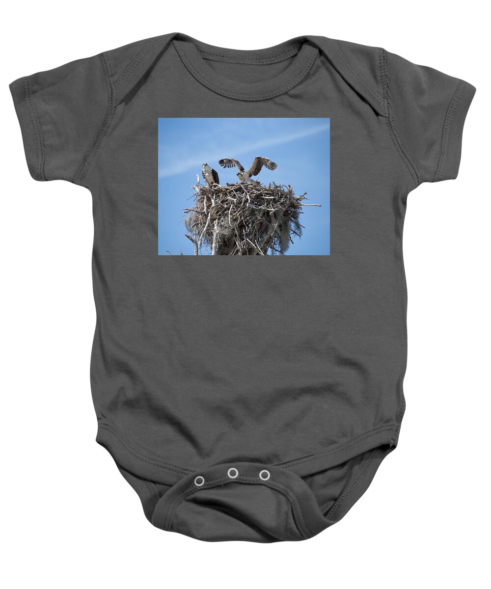 Osprey Baby Onesie featuring the photograph Nesting Osprey by Rudy Umans