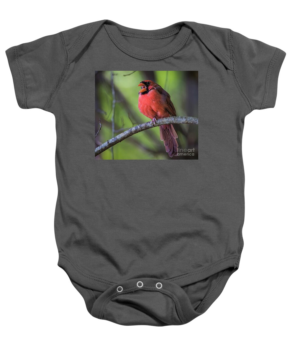 Nature Baby Onesie featuring the photograph Northern Cardinal - Male by DB Hayes