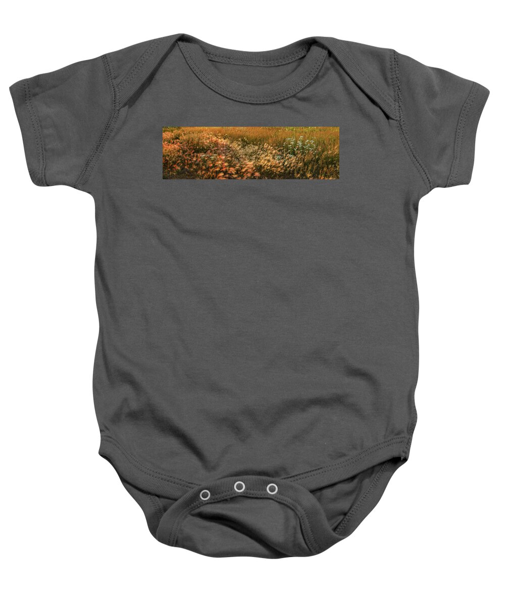 Panorama Baby Onesie featuring the photograph Northern Summer by Doug Gibbons