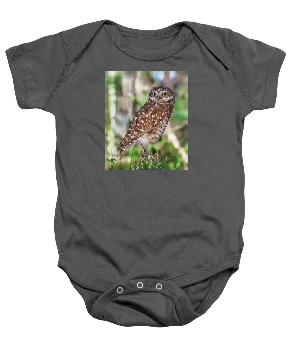 Owls Baby Onesie featuring the photograph Observer by Elaine Malott