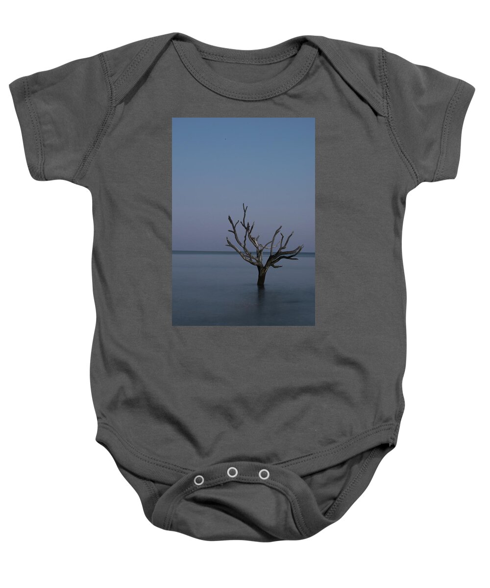 Landscape Baby Onesie featuring the photograph Ocean Tree by Joe Shrader