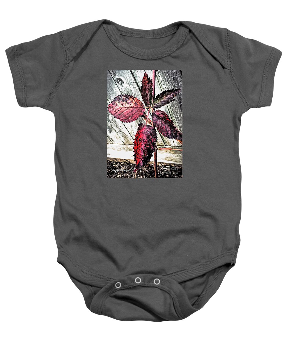 Photograph Baby Onesie featuring the photograph Old And Faded by MaryLee Parker