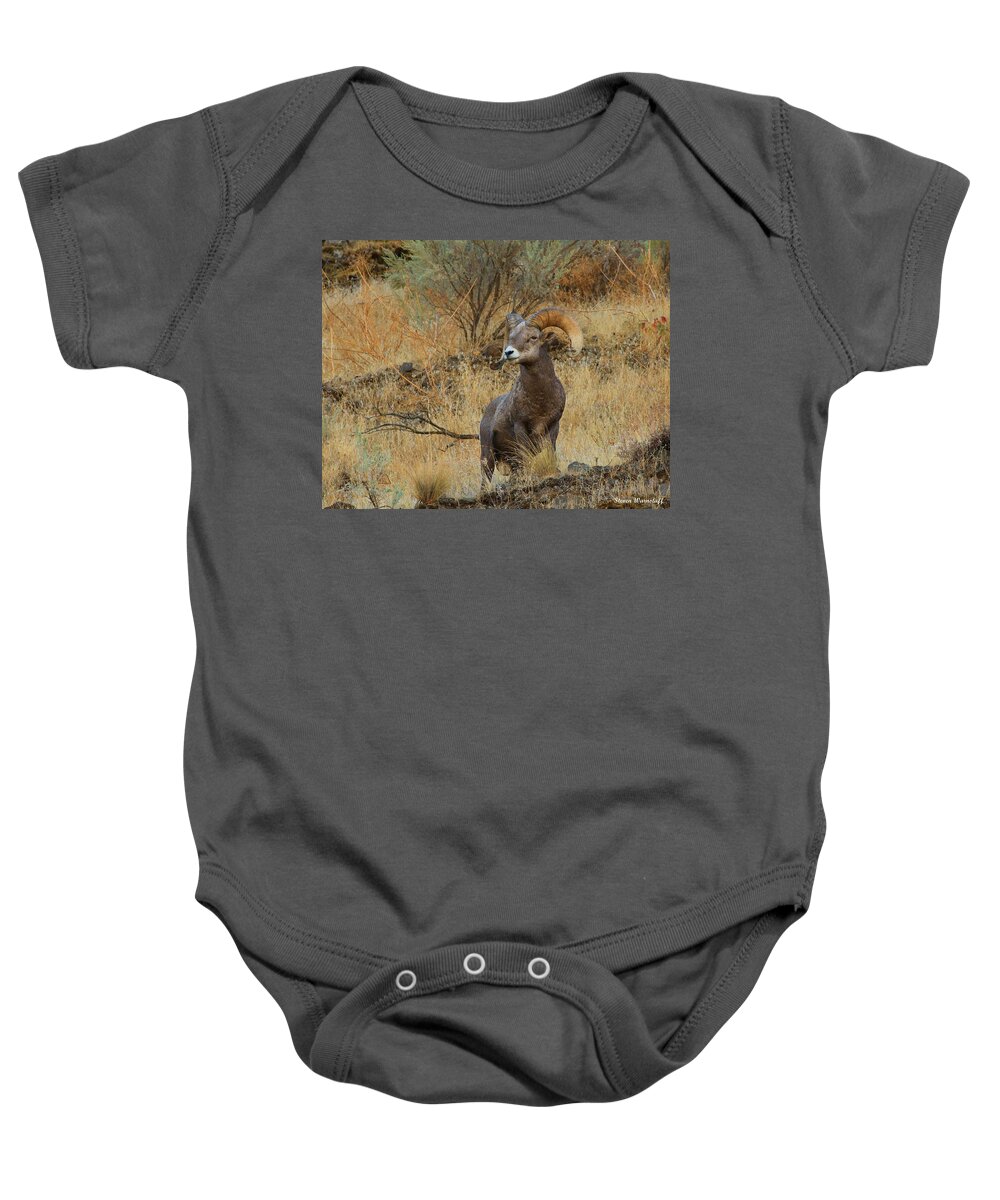 Oregon Baby Onesie featuring the photograph On Guard by Steve Warnstaff