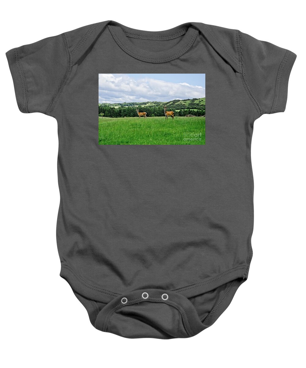 Beecraigs Baby Onesie featuring the photograph On the alert. by Elena Perelman