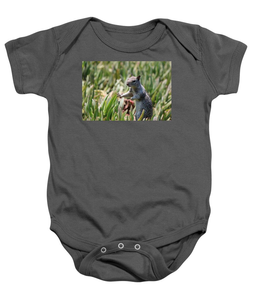 Squirrel Baby Onesie featuring the photograph Rock Squirrel by Christy Pooschke