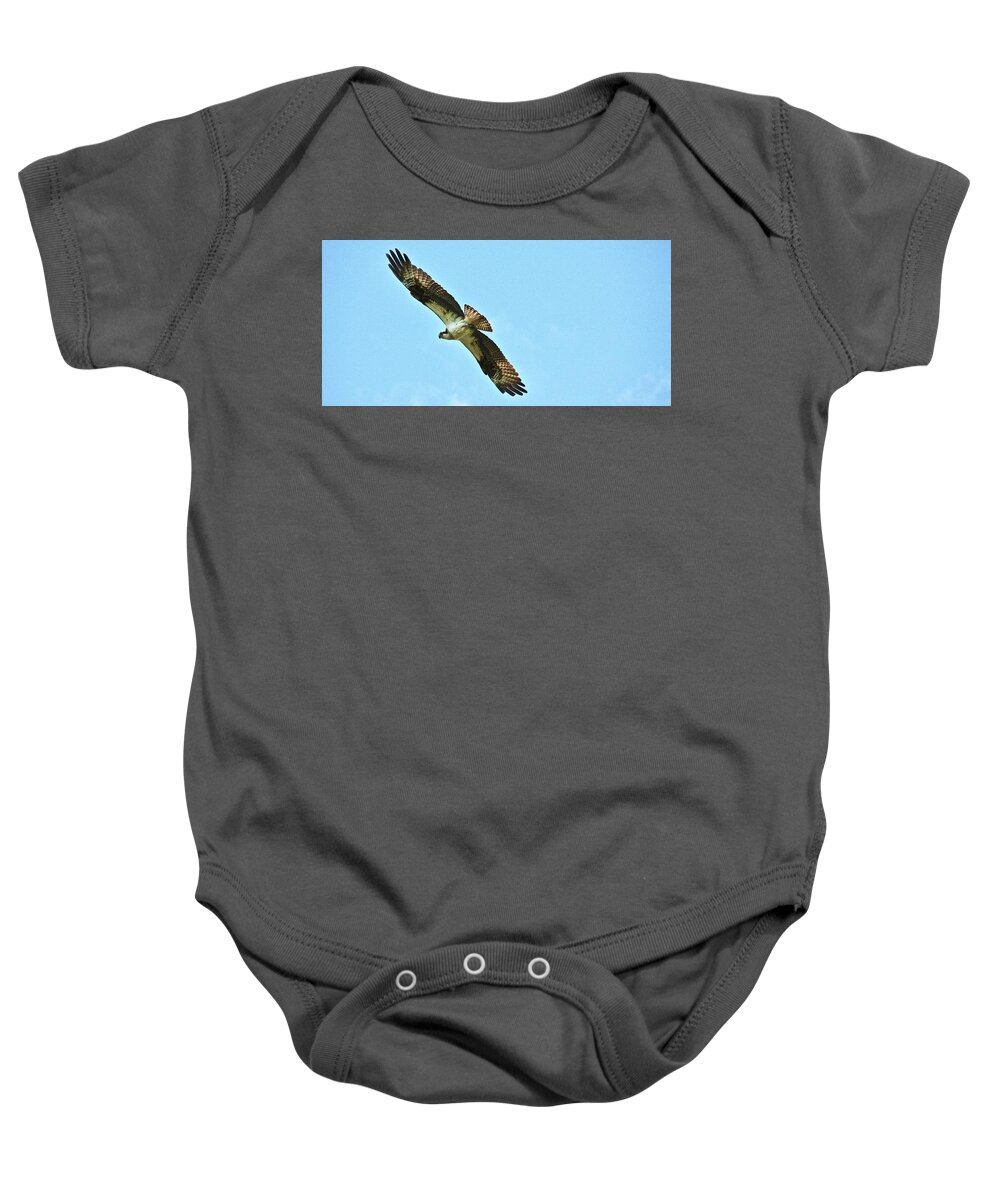 Osprey Baby Onesie featuring the photograph One last look by Shawn M Greener