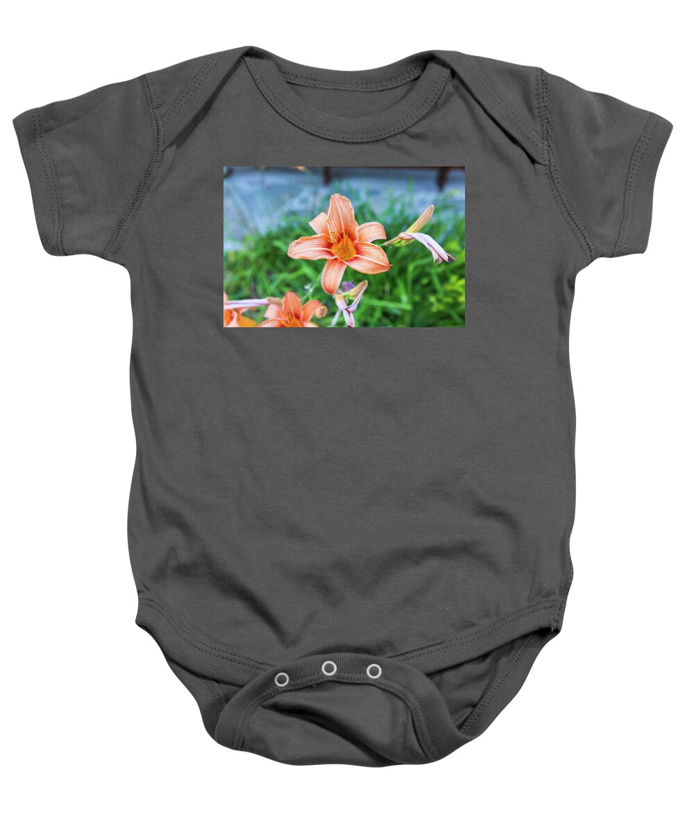 Flower Baby Onesie featuring the photograph Orange Daylily by D K Wall