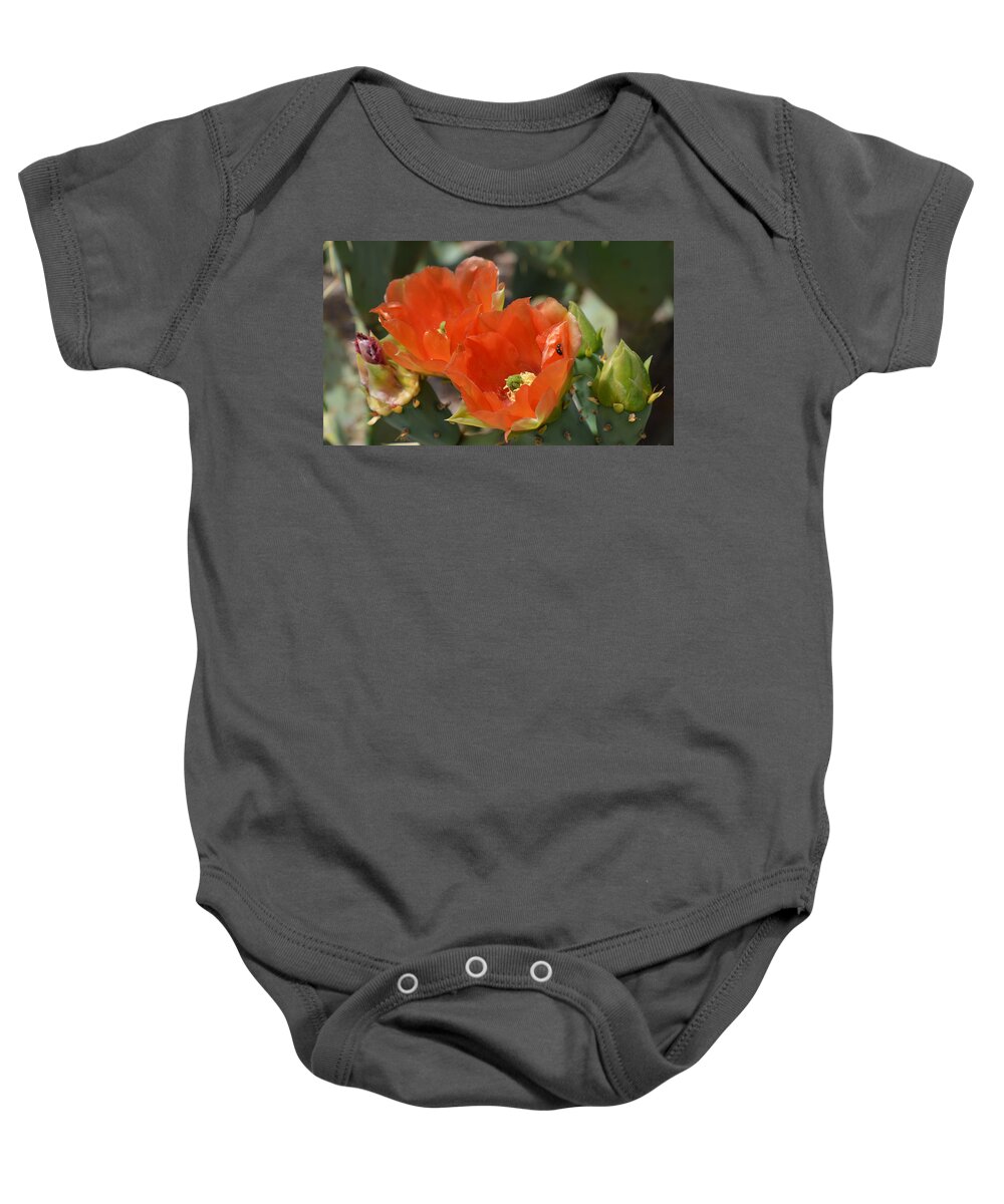 Cactus Baby Onesie featuring the photograph Orange Prickly Pear Blossoms by Aimee L Maher ALM GALLERY