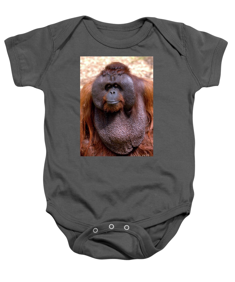 Ape Baby Onesie featuring the photograph Orangutan portrait by Baggieoldboy