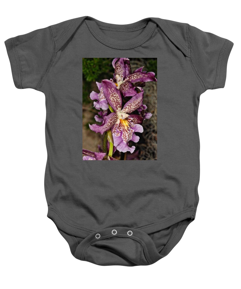 Orchid Baby Onesie featuring the photograph Orchid 347 by Wesley Elsberry