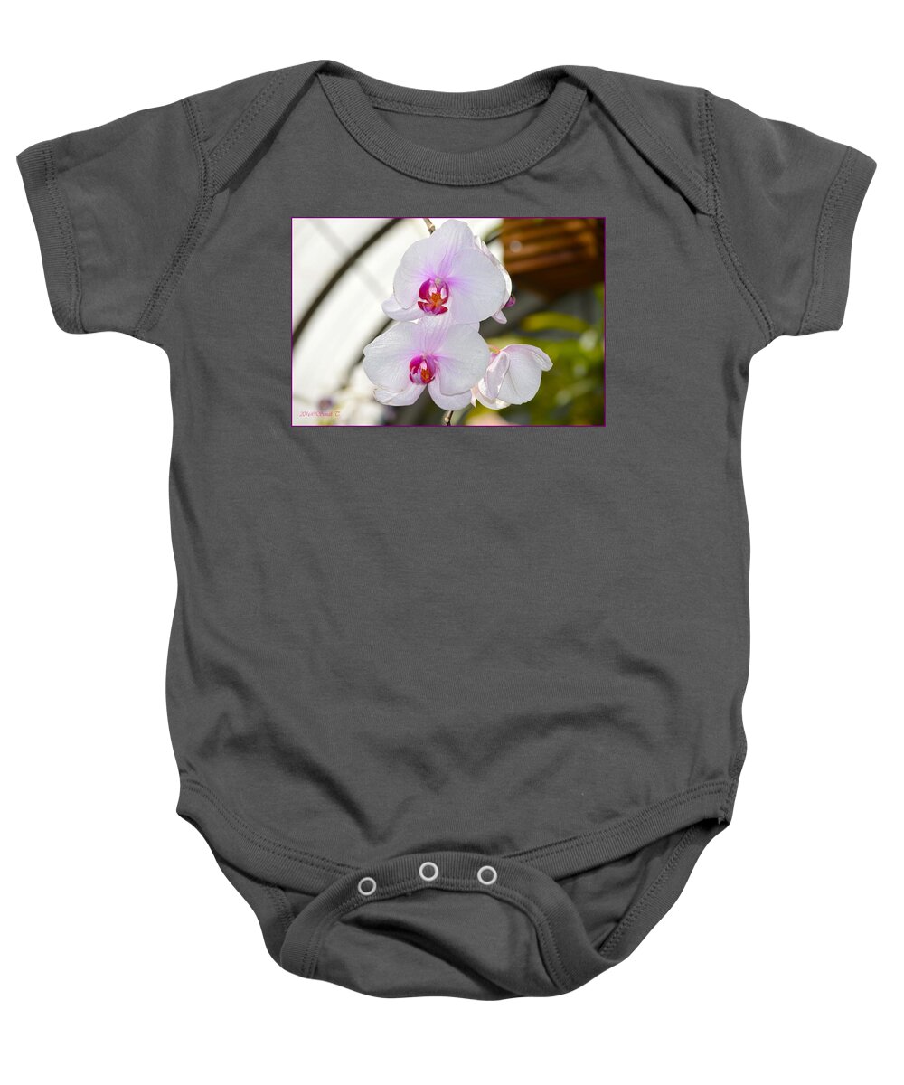 Orchid Aura Baby Onesie featuring the photograph Orchid Aura by Sonali Gangane